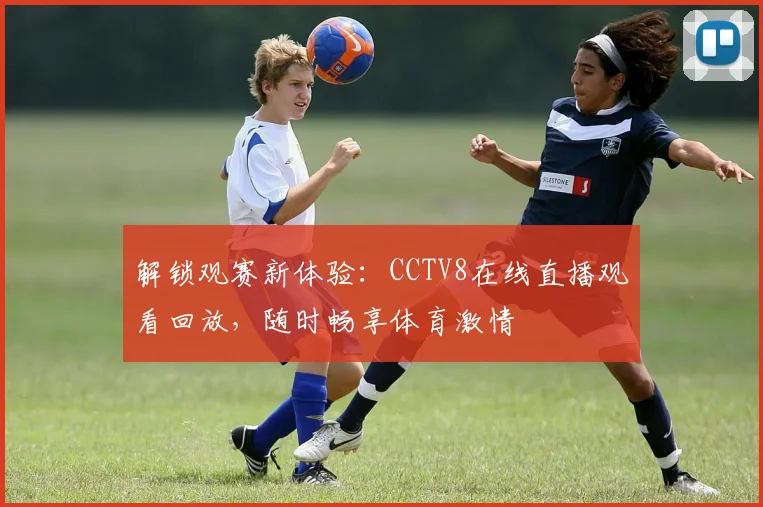 解锁观赛新体验：CCTV8在线直播观看回放，随时畅享体育激情
