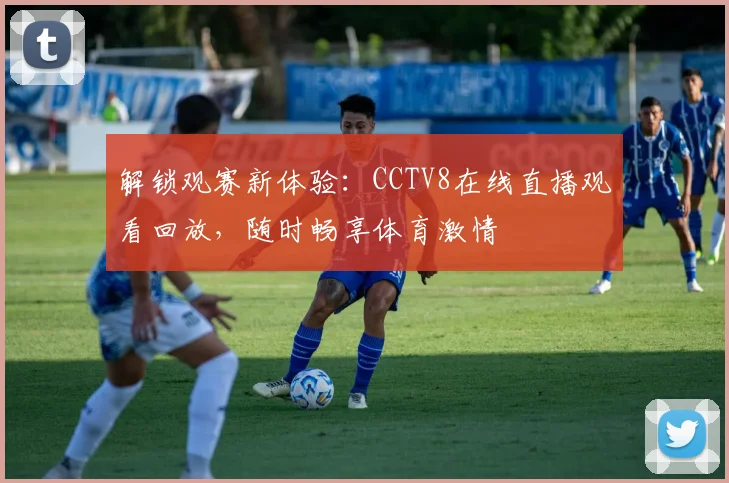 解锁观赛新体验：CCTV8在线直播观看回放，随时畅享体育激情