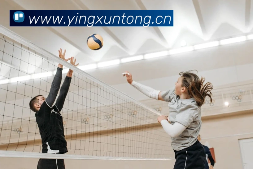 开云手机登录官网APP 封面图